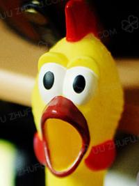 ���˽ڴ�����Ʒ