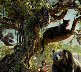 ���ɭ�ֵ�Ӱ����_���ɭ��Ѹ������BD�����bt��������